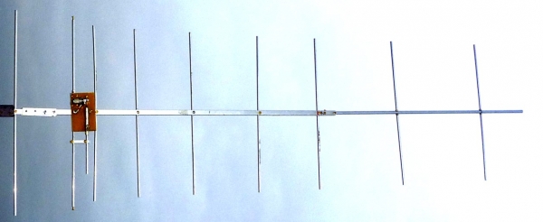 00008-ant-0022-435--16.jpg