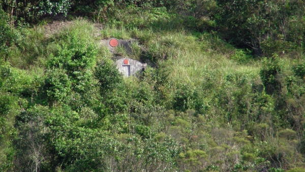 SANY0502.JPG