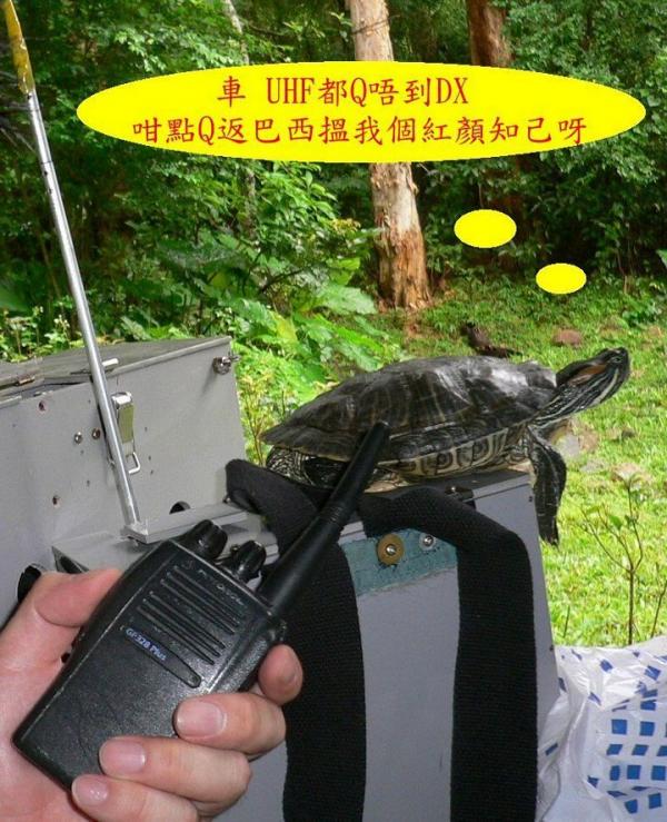 大004.jpg