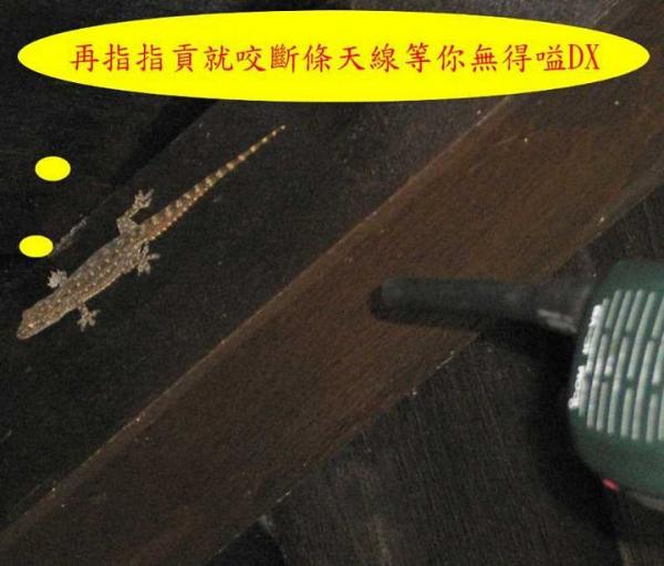 圖041.jpg