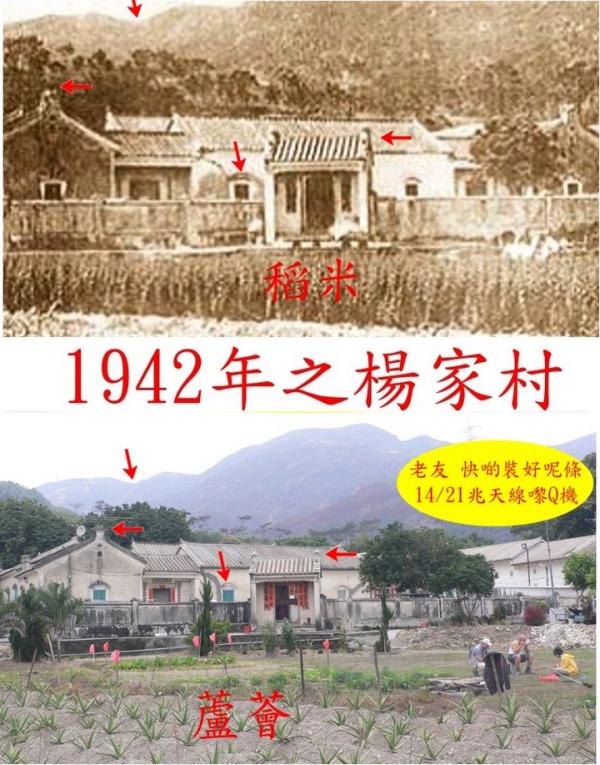 118.jpg