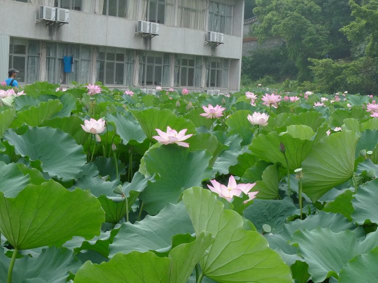 P1400431.JPG