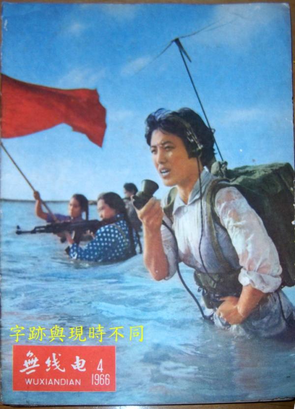 1186.jpg