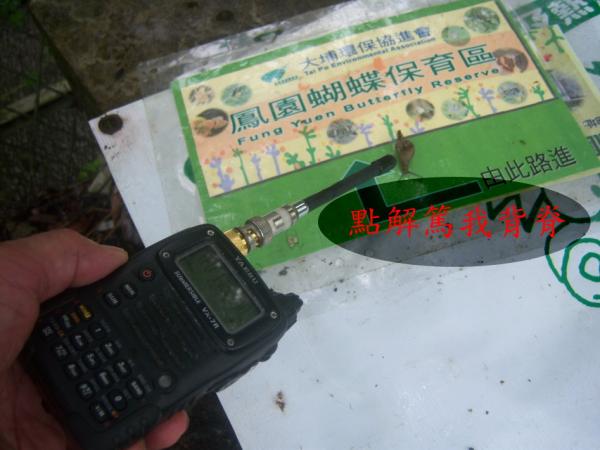 0000Z-020.jpg